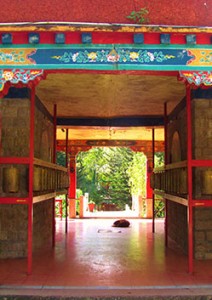 India mindfulness and meditation