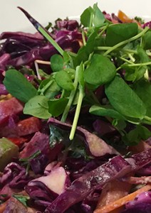 local purple cabbage salad